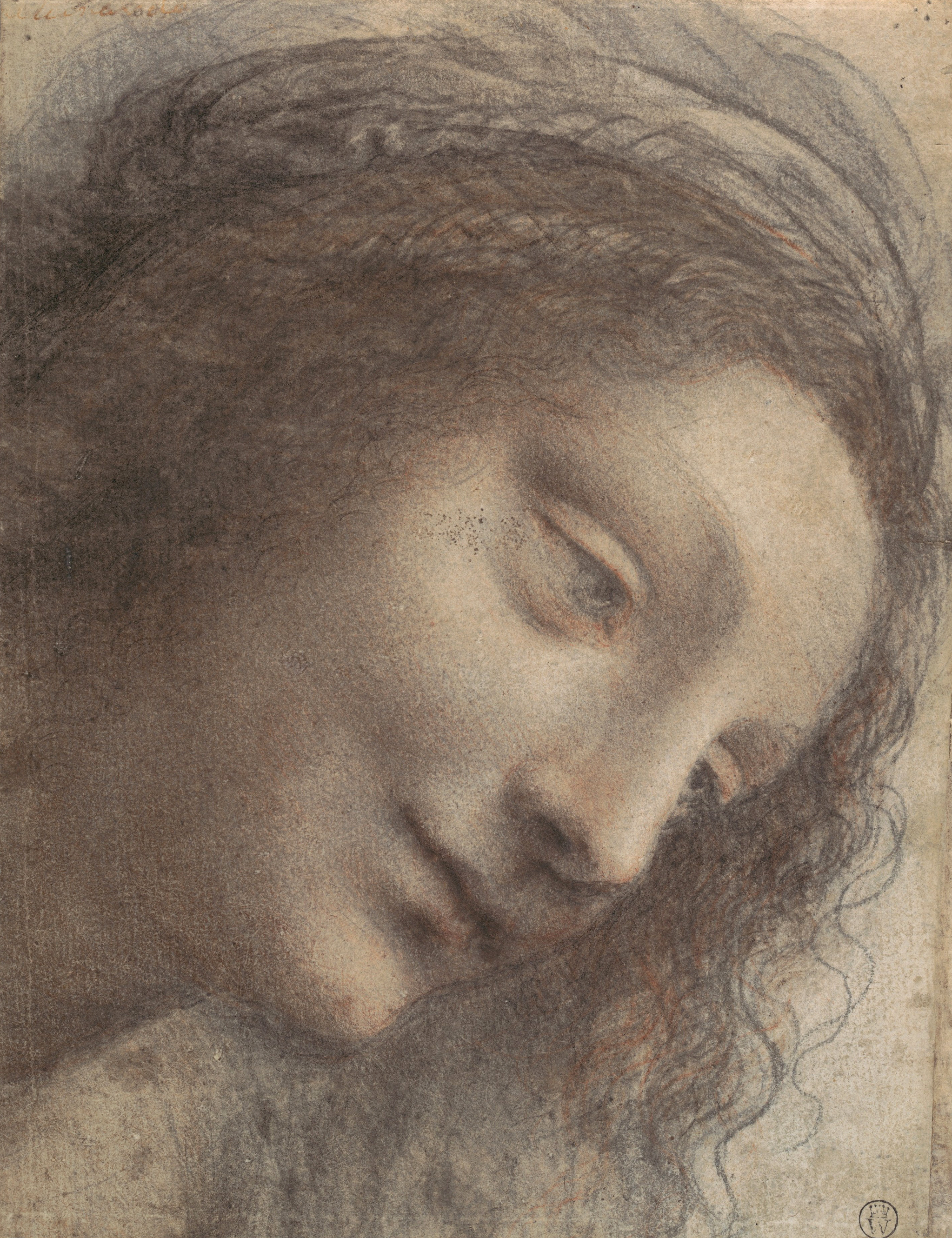 Leonardo da Vinci (01)